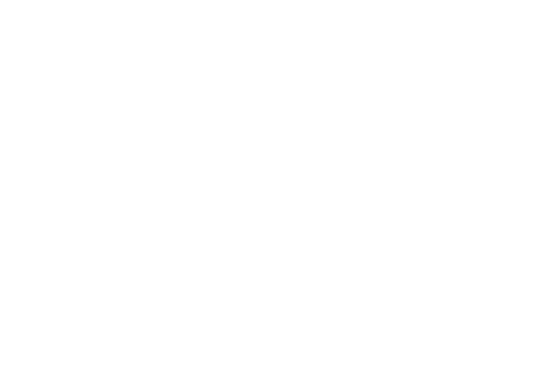 Toshav Investment